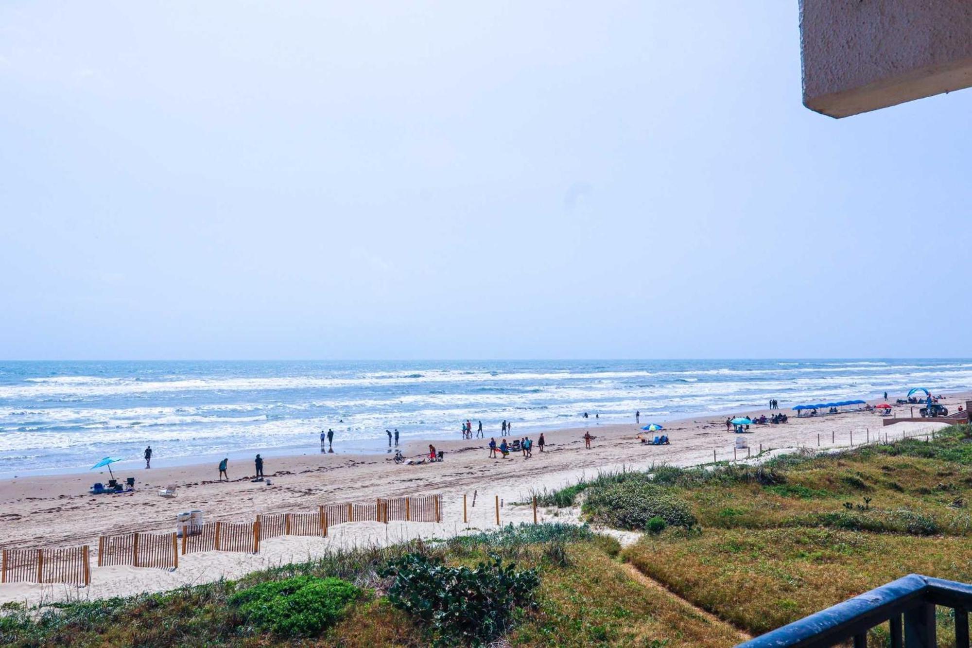 Florence I 307 Condominium Condo South Padre Island Exteriör bild